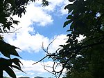 天空