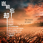 岂能忘却