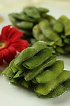 毛豆节