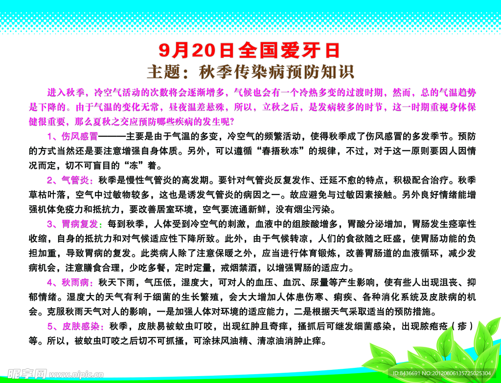 爱牙日