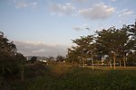 秋天景观
