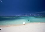 大海