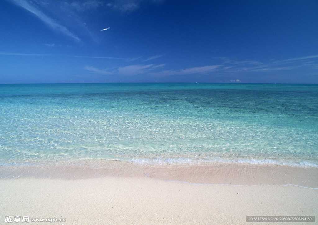大海