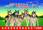 企业文化团队篇