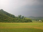 暴雨前的田园风光
