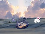 漂流瓶