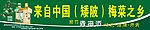 青梅酒