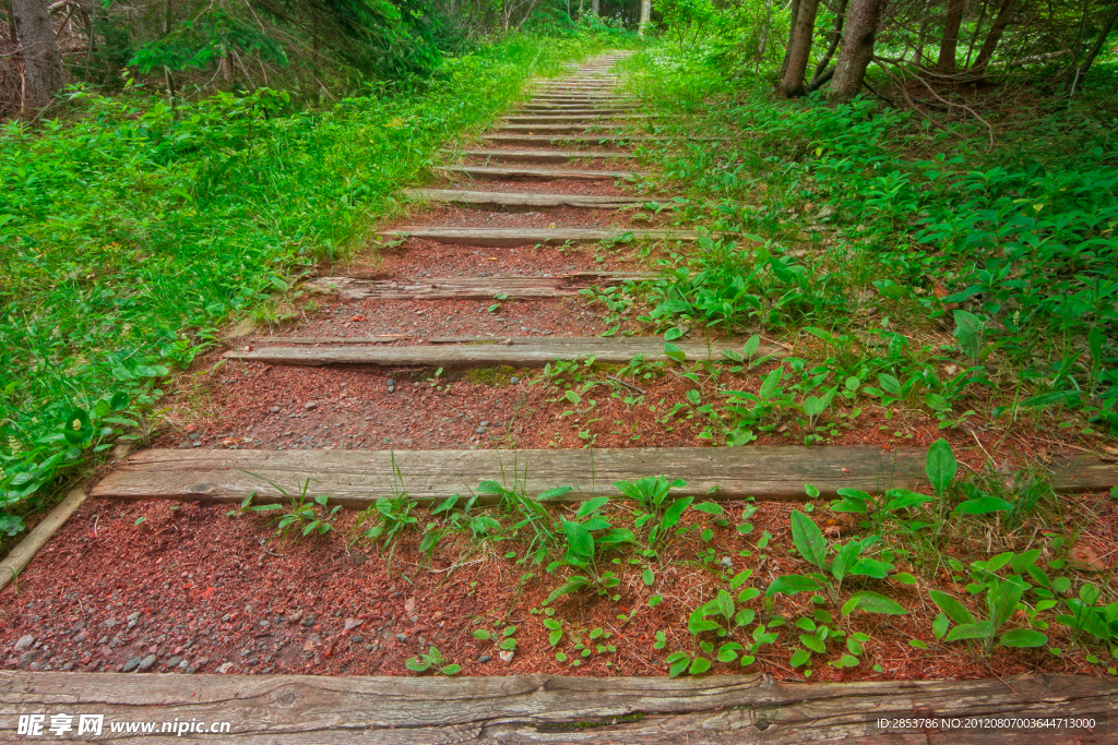 山中小路