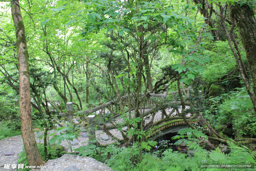 神农架风景