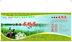 咸鸭蛋箱子 鸭子图片