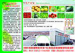 蔬菜展板 大棚图片