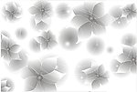 梦回江南 灰色花 花 线条 圆 花纹