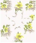 心花怒放 黄色花 牡丹花 黄花绿叶