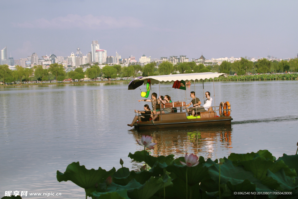 西湖荷景