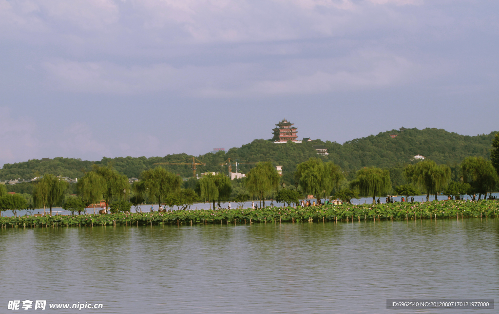 西湖荷景