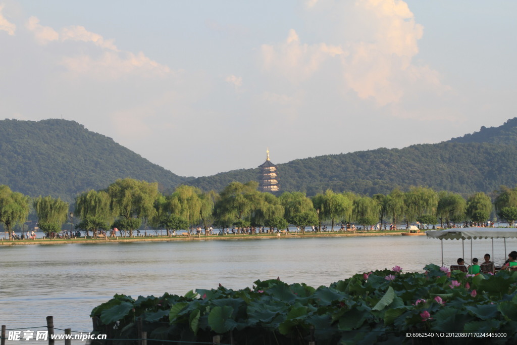 西湖荷景