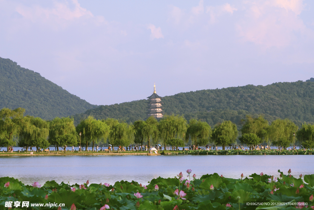 西湖荷景