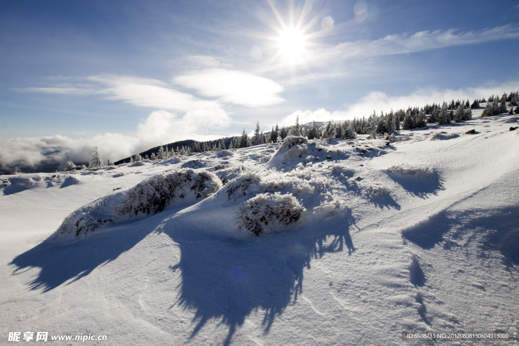 高原雪地风光