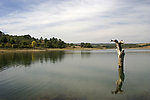 河水风景