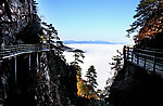 井冈山杜鹃景区栈道