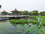 南湖风景