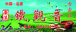 铁观音招牌