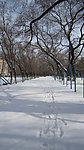 雪景
