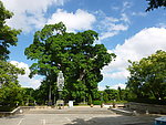 泉州中山公园