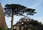 安徽黄山