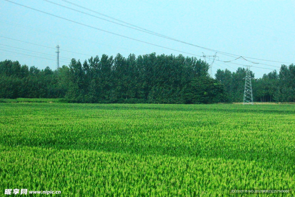 田园风光（非高清）