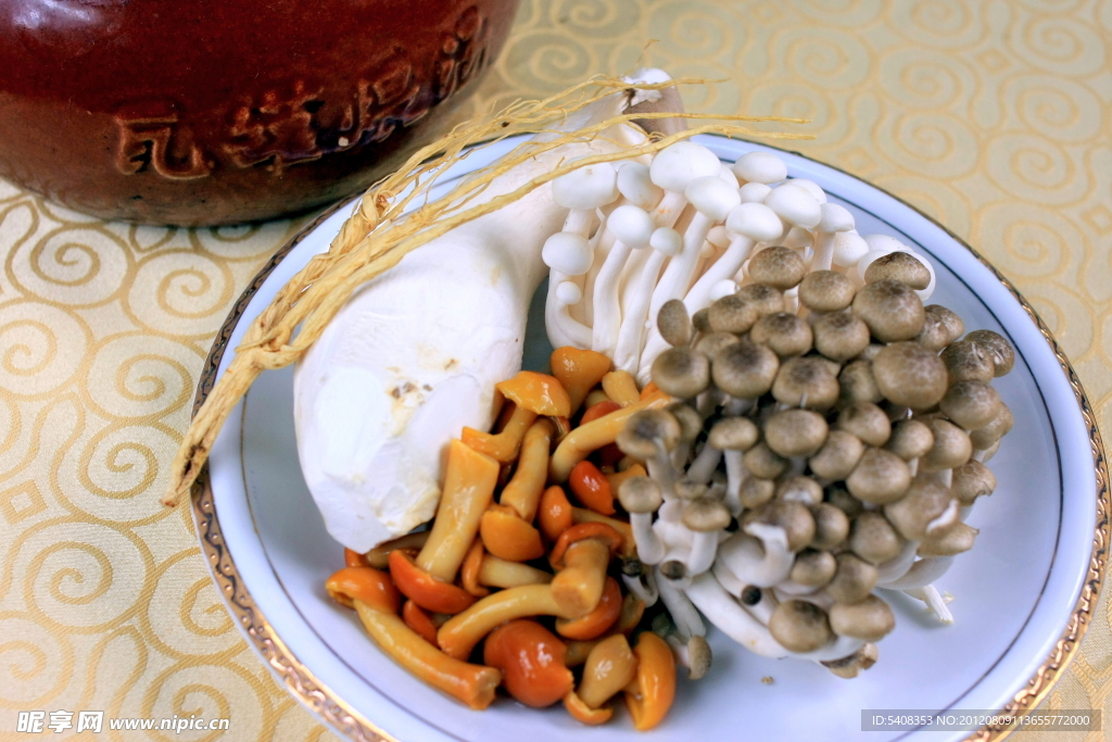 极品菌菇煲