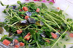 上汤豆苗