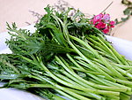 皇帝菜
