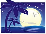 迷人的海边夜色