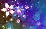 梦幻花朵
