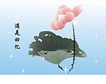 莲花