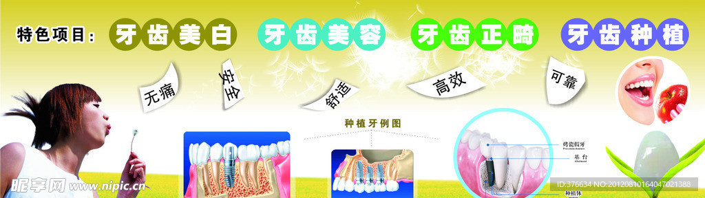 牙齿特色项目