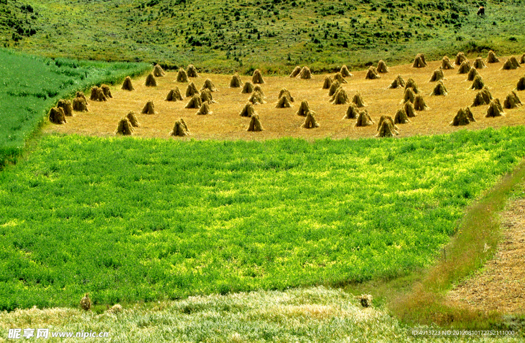 甘肃省祁连山的秋景