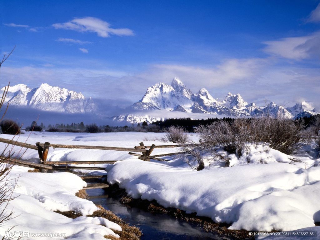 雪景