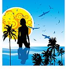 海鸥