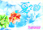 夏之韵