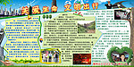 关爱生命 文明出行
