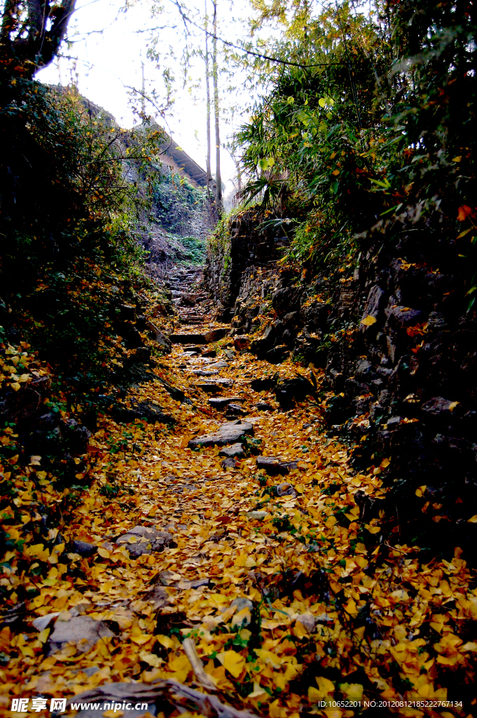 山村田园风光