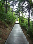 华山小径