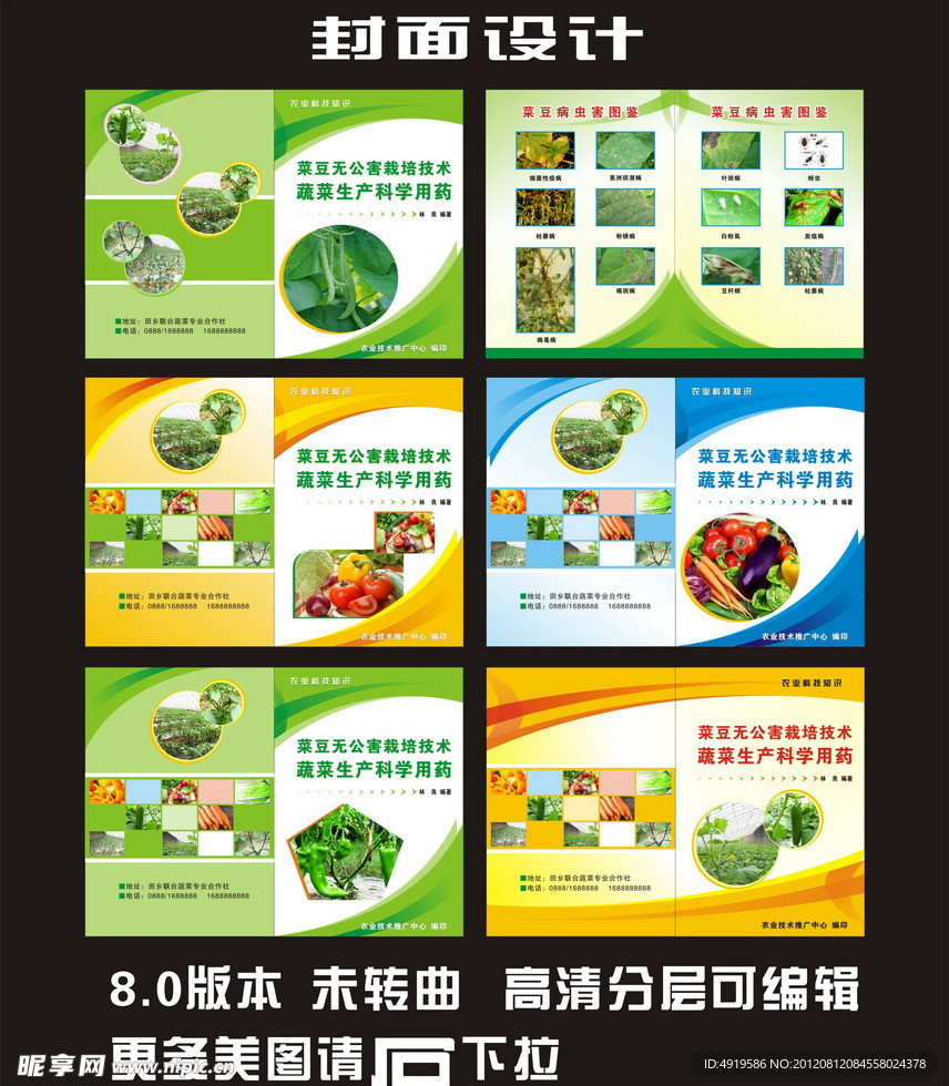 蔬菜宣传单画册