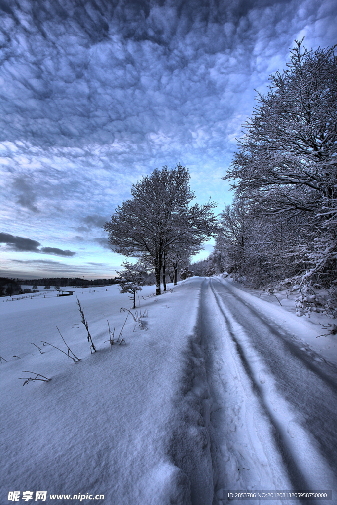 冬天小路雪景
