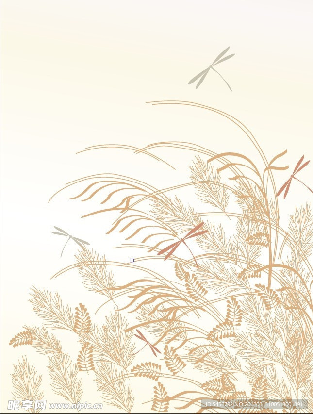 芦苇蜻蜓