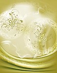 圆盘 底纹 花纹