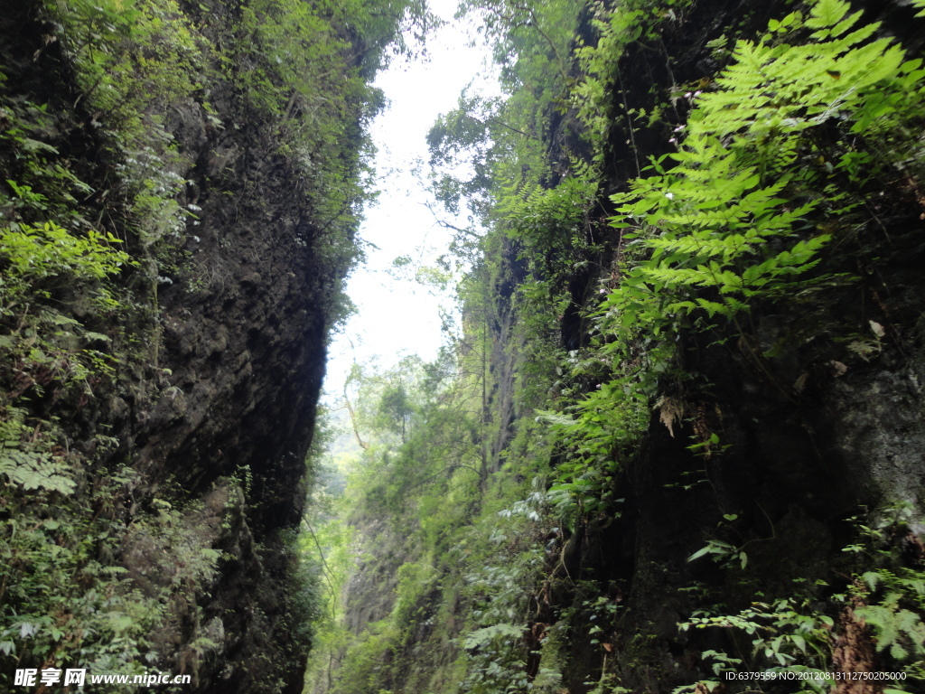 峨眉山旅游