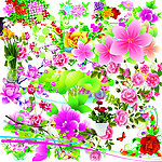 各种花儿